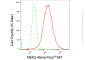 KD-Validated Anti-NEK2 Rabbit Monoclonal Antibody