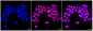 KD-Validated Anti-Histone acetyltransferase 1 Rabbit Monoclonal Antibody