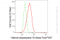 KD-Validated Anti-Histone deacetylase 10 Rabbit Monoclonal Antibody