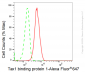 KD-Validated Anti-Tax1 binding protein 1 Rabbit Monoclonal Antibody