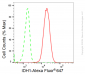 KD-Validated Anti-IDH1 Rabbit Monoclonal Antibody