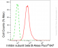 KD-Validated Anti-Inhibin subunit beta B Rabbit Monoclonal Antibody
