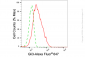 KD-Validated Anti-Gli3 Rabbit Monoclonal Antibody