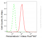 KD-Validated Anti-Peroxiredoxin 1 Rabbit Monoclonal Antibody
