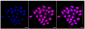 KD-Validated Anti-Peroxiredoxin 1 Rabbit Monoclonal Antibody
