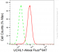 KD-Validated Anti-UCHL1 Rabbit Monoclonal Antibody