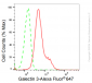 KD-Validated Anti-Galectin 3 Rabbit Monoclonal Antibody