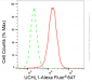 KD-Validated Anti-UCHL1 Rabbit Monoclonal Antibody