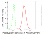 KD-Validated Anti-Peptidylprolyl isomerase F Rabbit Monoclonal Antibody