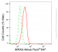 KD-Validated Anti-MRAS Rabbit Monoclonal Antibody