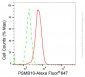KD-Validated Anti-PSMB10 Rabbit Monoclonal Antibody