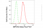 KD-Validated Anti-IMPDH2 Rabbit Monoclonal Antibody