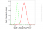KD-Validated Anti-NME1 Rabbit Monoclonal Antibody