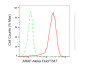 KD-Validated Anti-ARAF Rabbit Monoclonal Antibody