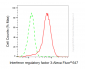 KD-Validated Anti-Interferon Regulatory Factor 3 Rabbit Monoclonal Antibody