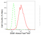 KD-Validated Anti-DDB1 Rabbit Monoclonal Antibody