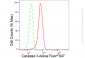 KD-Validated Anti-Caspase 3 Rabbit Monoclonal Antibody