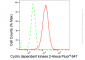 KD-Validated Anti-Cyclin dependent kinase 2 Rabbit Monoclonal Antibody
