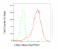 KD-Validated Anti-MYC Rabbit Monoclonal Antibody
