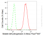 KD-Validated Anti-Malate dehydrogenase 2 Rabbit Monoclonal Antibody