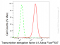 KD-Validated Anti-Transcription elongation factor A1 Rabbit Monoclonal Antibody