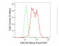 KD-Validated Anti-CDC42 Rabbit Monoclonal Antibody