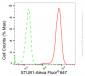 KD-Validated Anti-STUB1 Rabbit Monoclonal Antibody