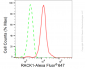 KD-Validated Anti-RACK1 Rabbit Monoclonal Antibody