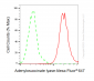 KD-Validated Anti-Adenylosuccinate Lyase Mouse Monoclonal Antibody