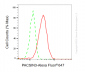 KD-Validated Anti-PACSIN3 Mouse Monoclonal Antibody