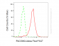 KD-Validated Anti-PACSIN3 Mouse Monoclonal Antibody