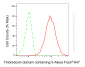 KD-Validated Anti-TXNDC5 Mouse Monoclonal Antibody