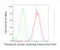 KD-Validated Anti-TXNDC5 Mouse Monoclonal Antibody