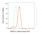KD-Validated Anti-F-Box Protein 11 Mouse Monoclonal Antibody