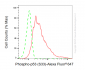 KD Validated Anti-Phospho-p53 (S33) Rabbit Monoclonal Antibody