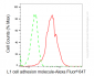 KD Validated Anti-L1 cell adhesion molecule Rabbit Monoclonal Antibody