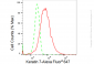 KD-Validated Anti-Keratin 7 Rabbit Monoclonal Antibody