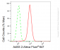 KD-Validated Anti-AdSS 2 Rabbit Monoclonal Antibody