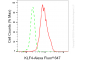 KD-Validated Anti-KLF4 Rabbit Monoclonal Antibody