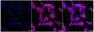 KD-Validated Anti-MAP2K1 Rabbit Monoclonal Antibody