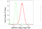 KD-Validated Anti-MAP2K1 Rabbit Monoclonal Antibody