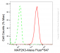 KD-Validated Anti-MAP2K3 Rabbit Monoclonal Antibody