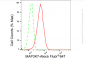 KD-Validated Anti-MAP3K7 Rabbit Monoclonal Antibody