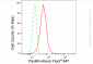 KD-Validated Anti-Paxillin Rabbit Monoclonal Antibody