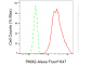 KD-Validated Anti-PKM2 Rabbit Monoclonal Antibody