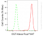 KD-Validated Anti-OGT Rabbit Monoclonal Antibody