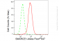 KD-Validated Anti-SMARCE1 Rabbit Monoclonal Antibody