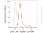 KD-Validated Anti-p150 CAF1 Rabbit Monoclonal Antibody