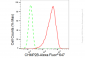 KD-Validated Anti-CHMP2B Rabbit Monoclonal Antibody