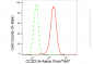 KD-Validated Anti-CC2D1A Rabbit Monoclonal Antibody